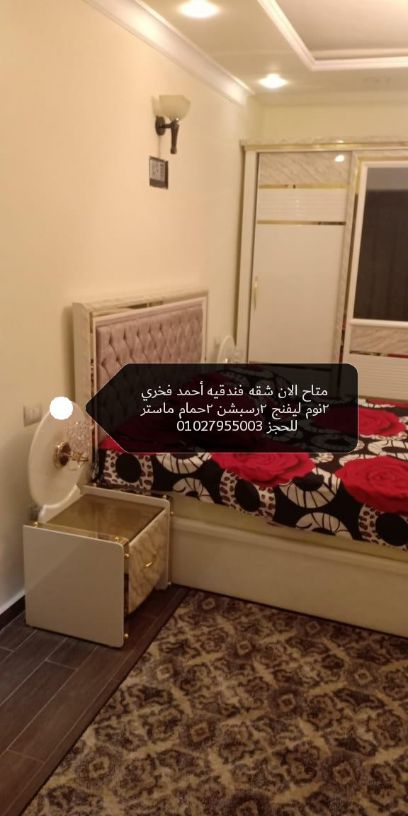 شقه مفروشه في احمد فخري عند مستشفى حسبو ٢نوم ليفنج روم ٢ رسبشن ٢ حمام